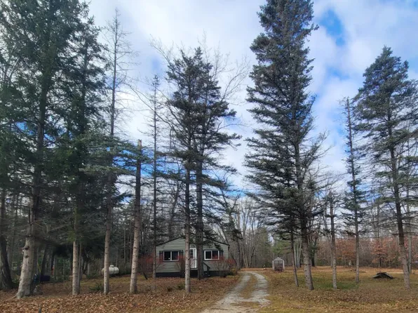 9838 County Road 489, Atlanta, MI 49709