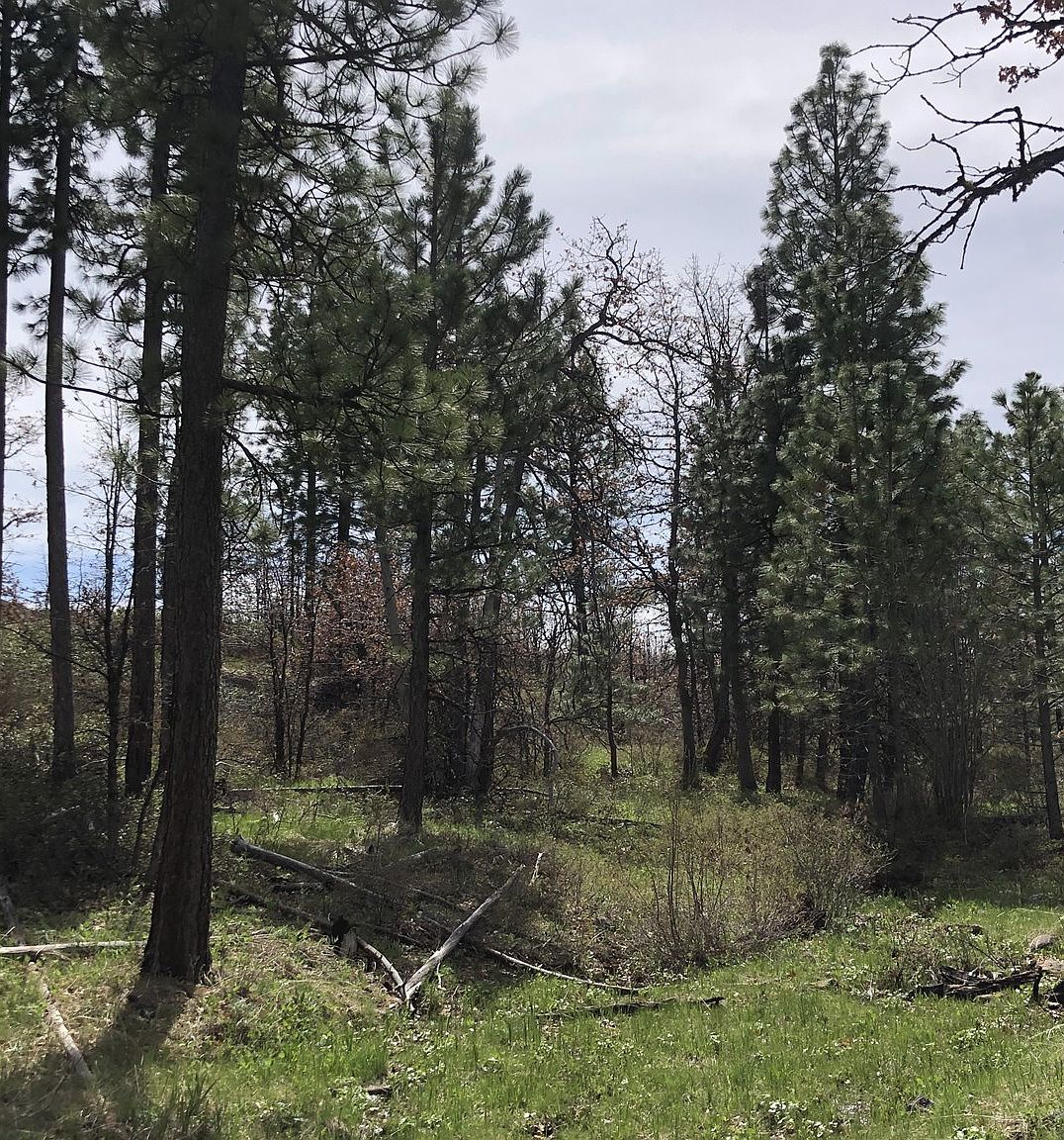 200 Timber Ln, Bickleton, WA 99322 Zillow