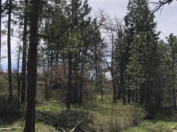 200 Timber Ln, Bickleton, WA 99322