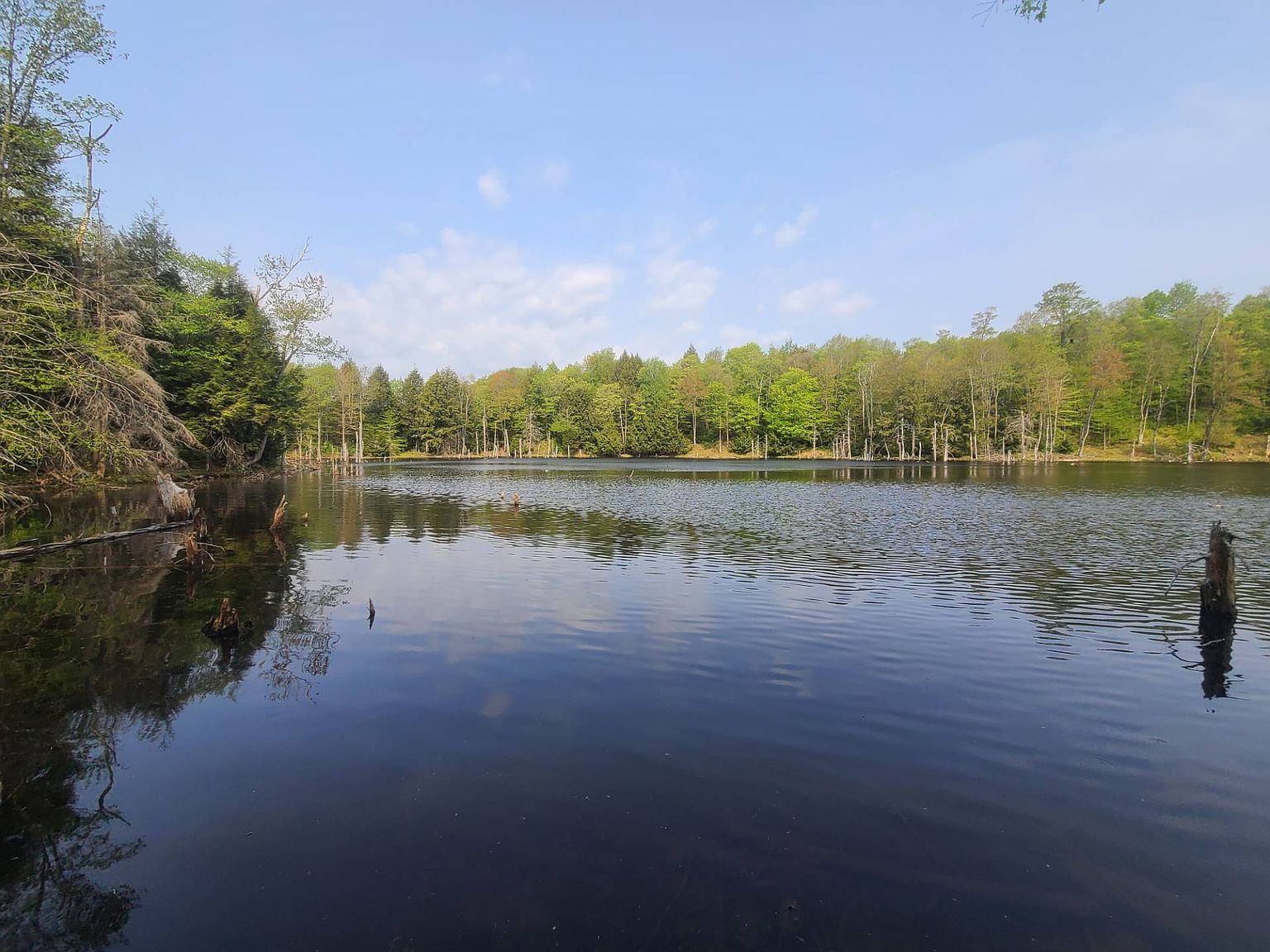 4011 Osceola Rd, West Leyden, NY 13489 MLS 11153039 Zillow