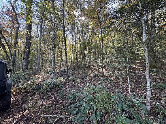 3rd image of 0 Saffron Ln