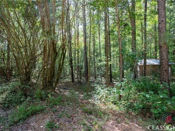 0 Beaver Run Road, Winterville, GA 30683
