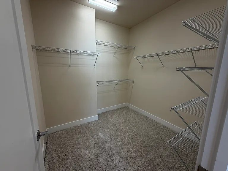 Primary BR closet