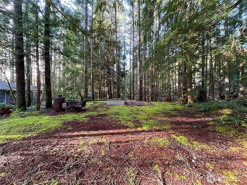 4th image of 101 N Duckabush Loop W