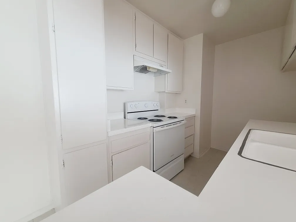 1 bed, 700 sqft, $1,850 — Photo 3