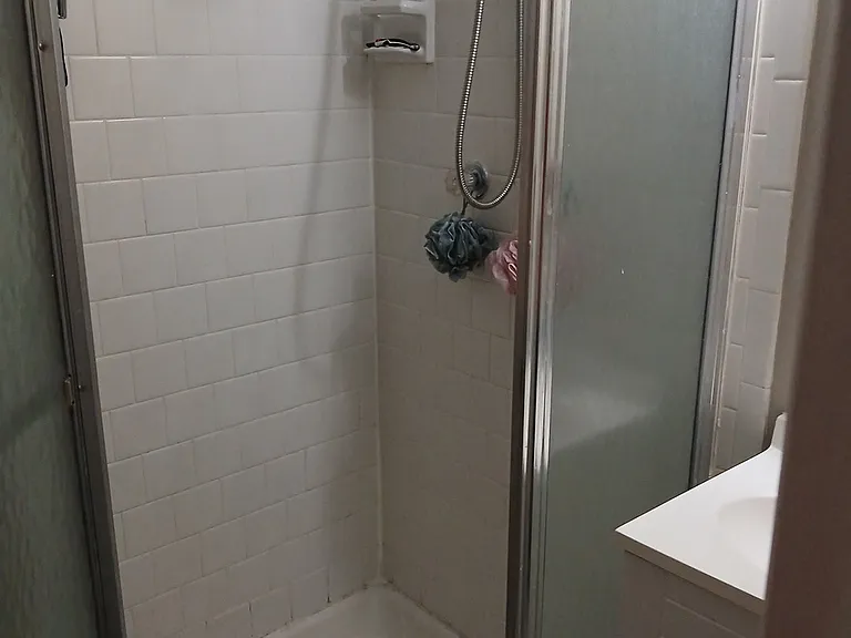 Master bathroom shower