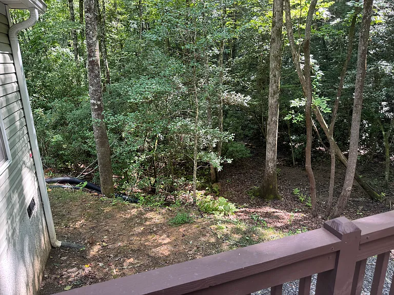 1254 Friendship Church Rd — Photo 10