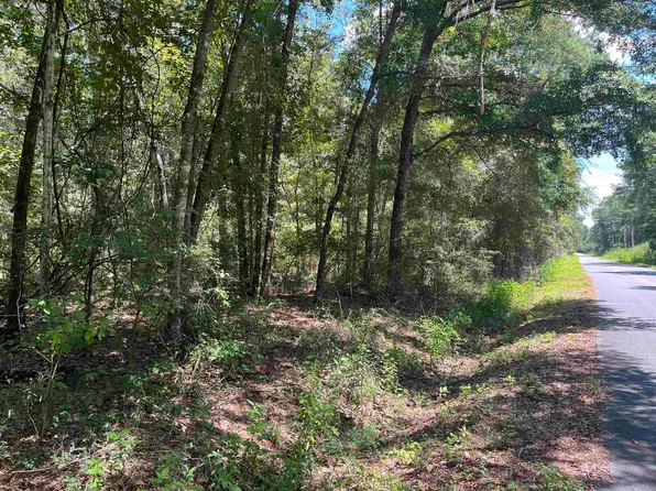 Xx Taylor Rd Parcel 2, Monticello, FL 32344