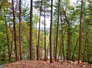 LOT-102R Ponca Ct, Ellijay, GA 30540
