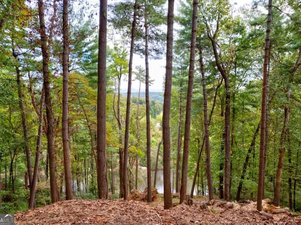 LOT-102R Ponca Ct, Ellijay, GA 30540