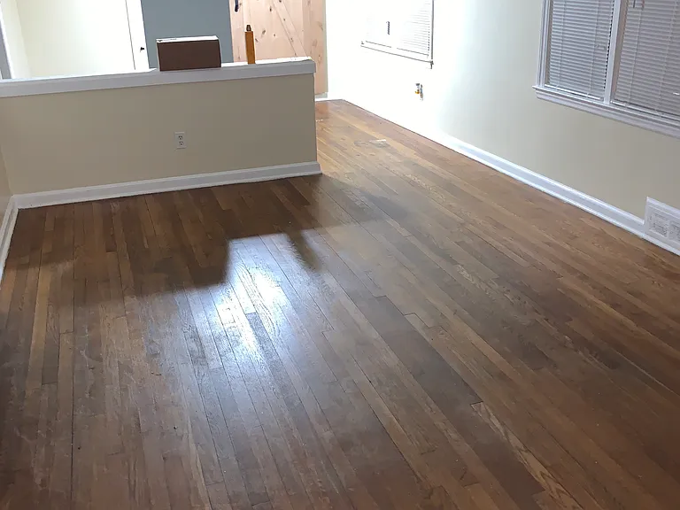 Large, open architecture living room and dining room. Lots of natural sunlight in both rooms