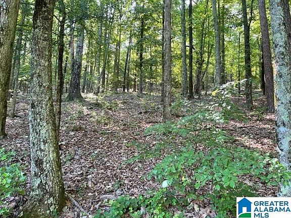 3rd image of 1118 Greystone Crst Lot 30