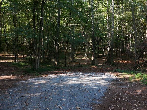 2nd image of Old Mine Rd Lot 45