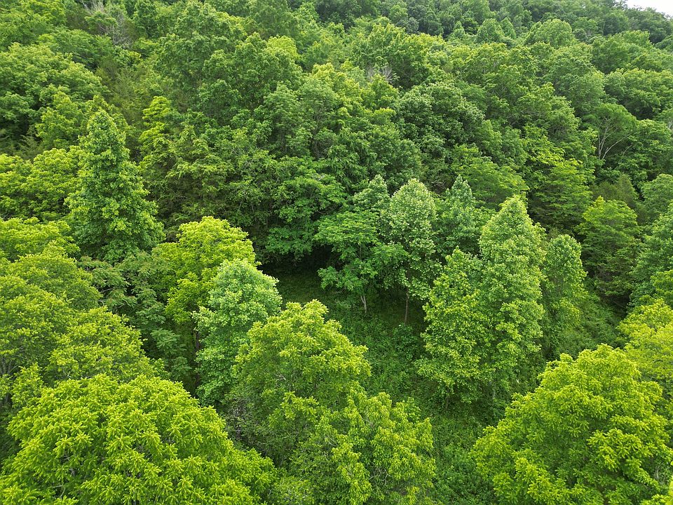 2nd image of 0 Buckeye Hollow Rd Lot 2