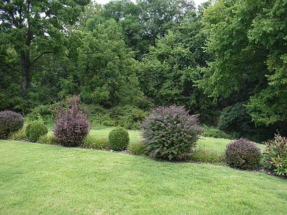 3rd image of 706 Lechner Ln