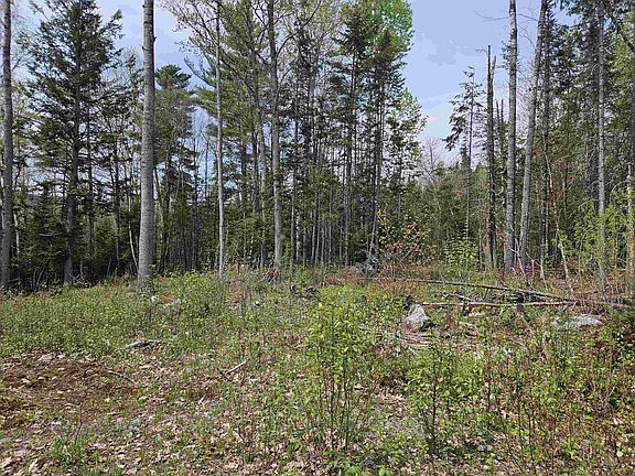 2nd image of Lot 10.1 Wallace Hill Road