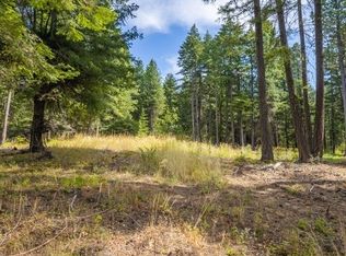 333 Evergreen Valley Loop Rd, Ronald, WA 98940