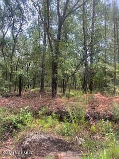 3rd image of 8.24 Acres Britts Cove SE