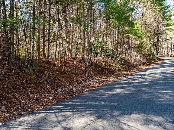 3rd image of LOT 39 Bear Ridge Dr