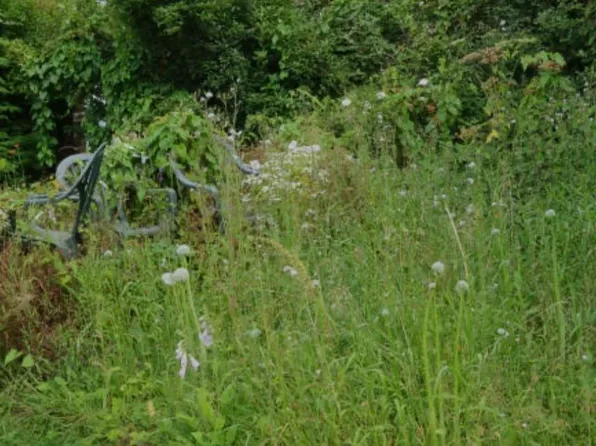 Yell County, Bluffton, AR 72827