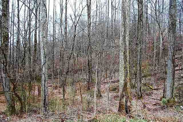 2nd image of Nursery Rd