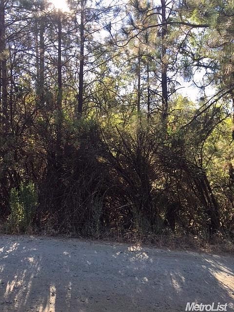 2nd image of 4545 Pretty Good Rd