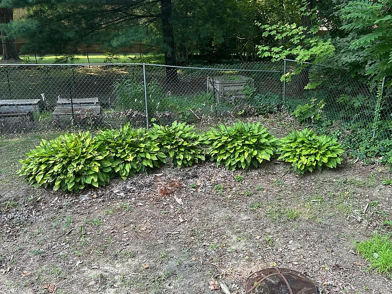 417 W Ferry St — Photo 22