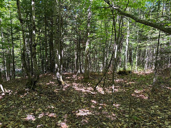 5th image of Lot 4 Holley Road
