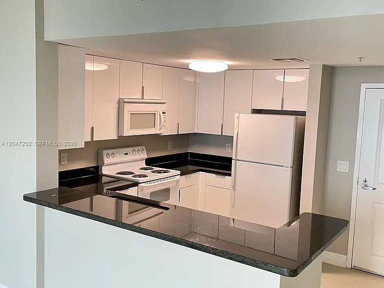 1250 S Miami Ave #2111 — Photo 6