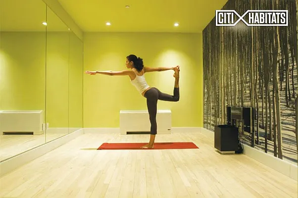 Rented by Citi Habitats | media 13