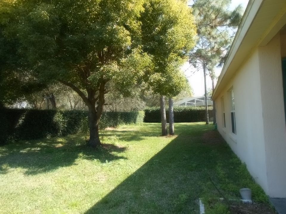 yard