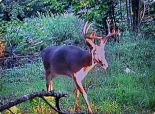 Ice Age Ln, Rosholt, WI 54473