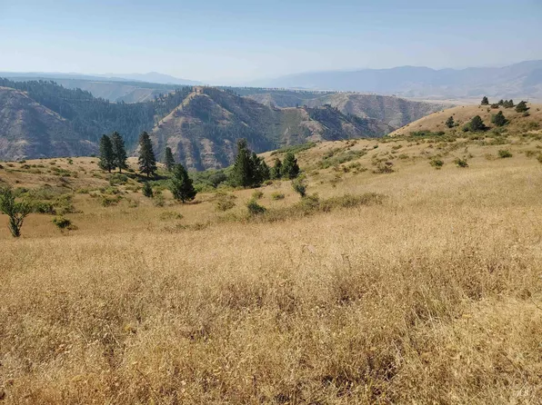 Service Flats Rd, Grangeville, ID 83530