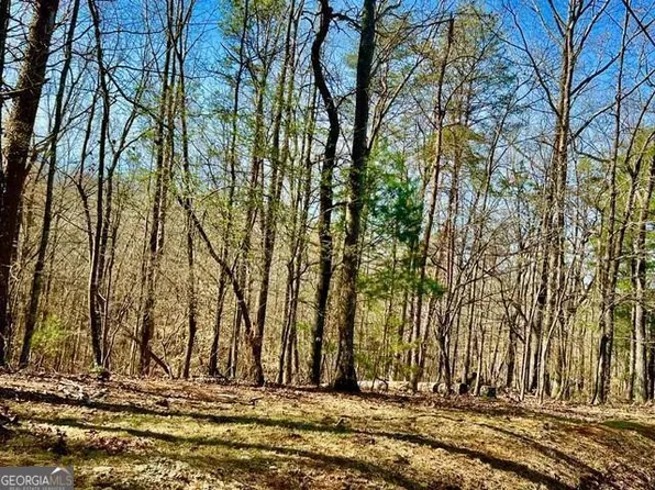 540 Arbor Ct, Ellijay, GA 30540