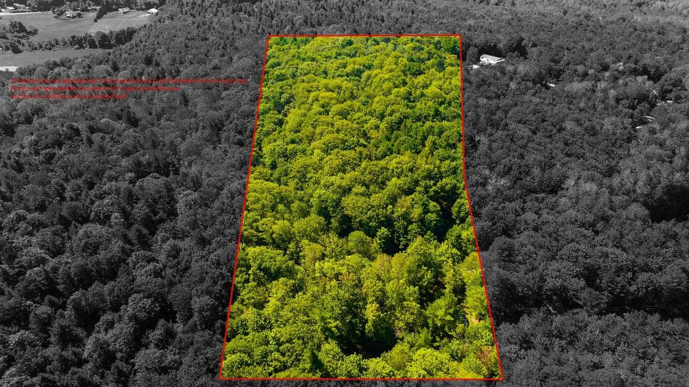 56 Belles Hollow Dr photo 1