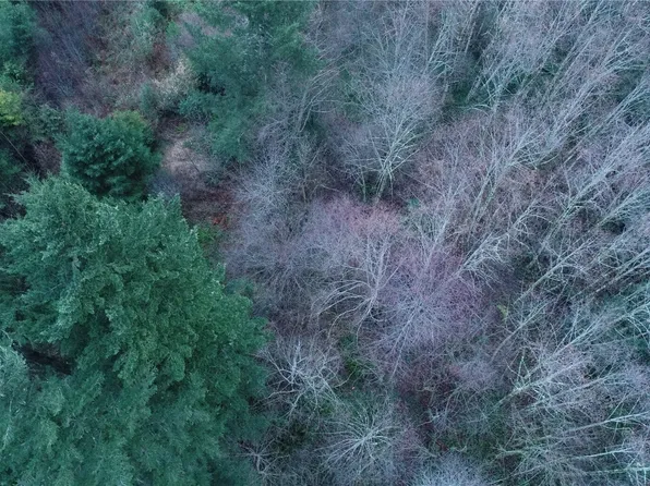 0 N 2nd St, Morton, WA 98572