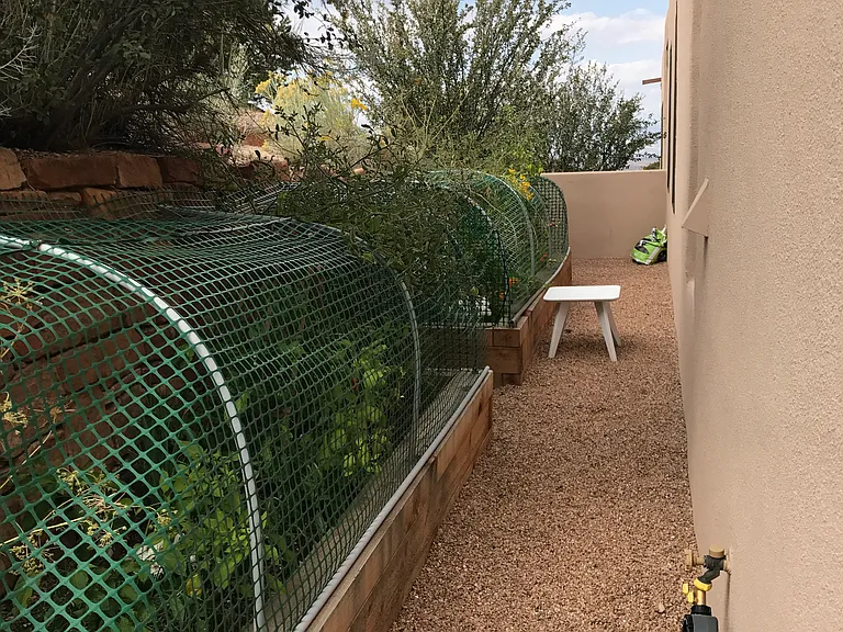 vegetable garden