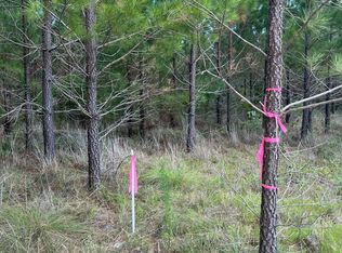 Bff 4 Brunson Teal Rd #BFF-4, Patrick, SC 29584