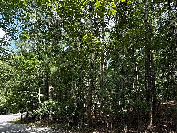 4th image of LOT 81 Chinquapin Pass