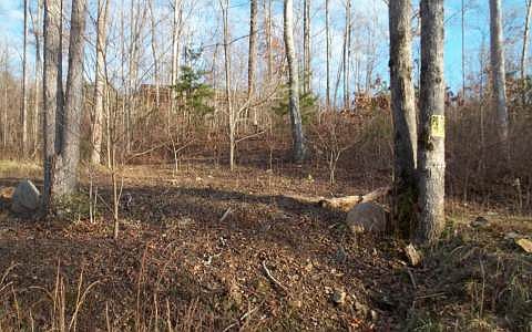 1st image of LOT 98 Stonebriar Dr