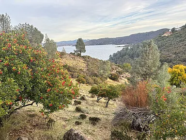 10898 Northslope Drive