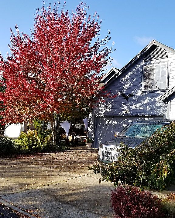 1st image of 2817 Edinburgh Dr SE