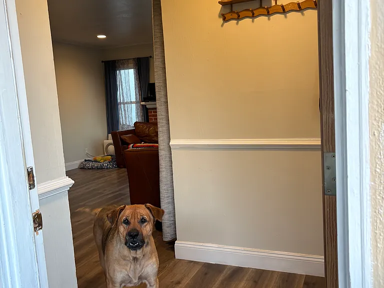 6600 Outlook Ave — Photo 8