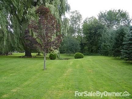 Side yard, south of house.
						:
						Plenty of room to have a garden.