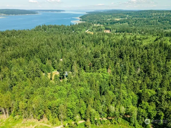 0 Blacktail/Pheasant Farm Lane, Freeland, WA 98249