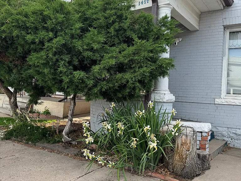 1417 N Main St — Photo 2