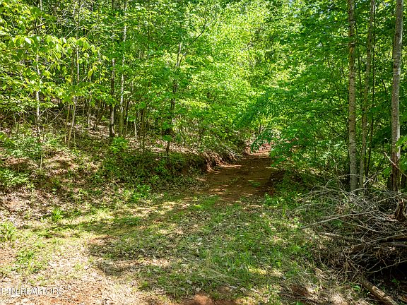 4th image of 13389 Meadow Rd W