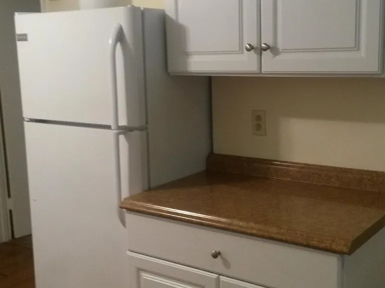 1321 Creedmoor Ave #1 — Photo 3