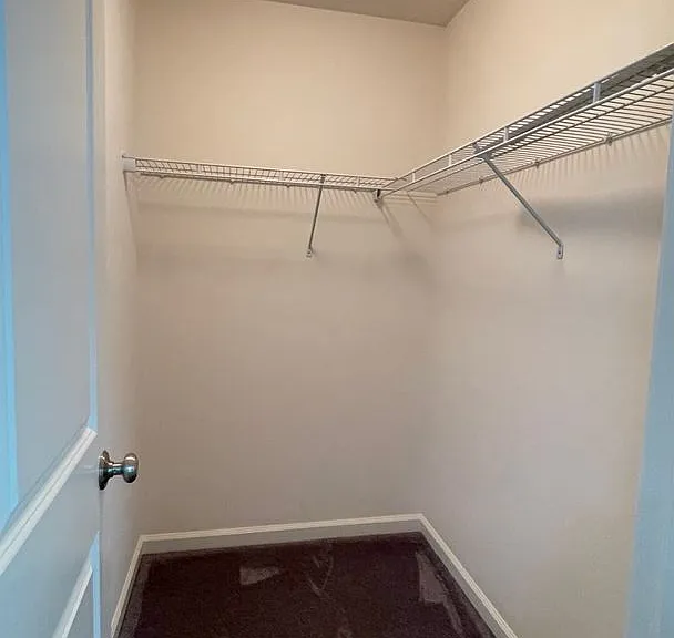 2761 Morallion Dr — Photo 19