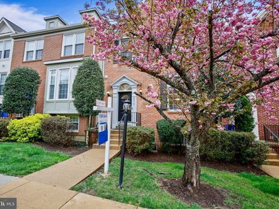 8012 Readington Ct, Springfield, VA, 22152